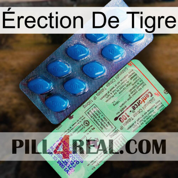 Érection De Tigre new02